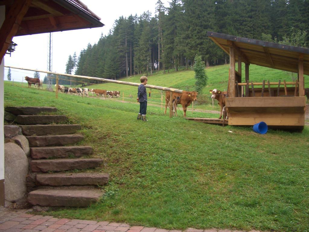 Willmannshof Apartment Furtwangen Bagian luar foto